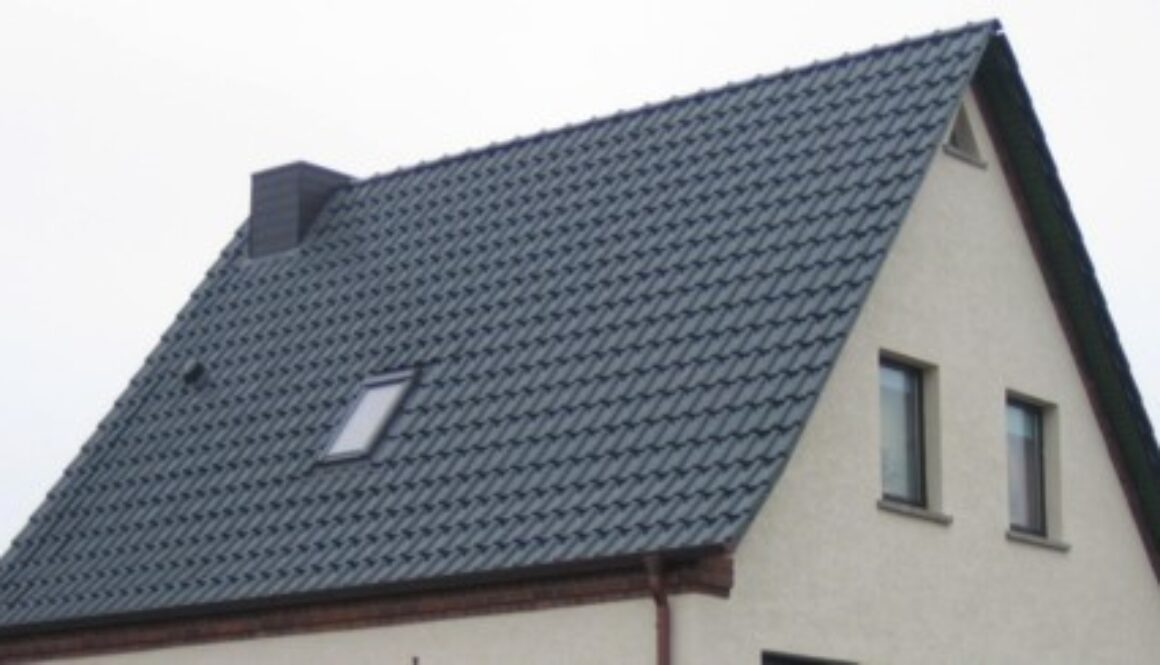 dacher1