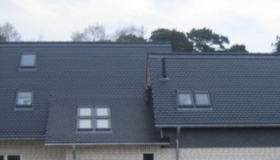 dacher6