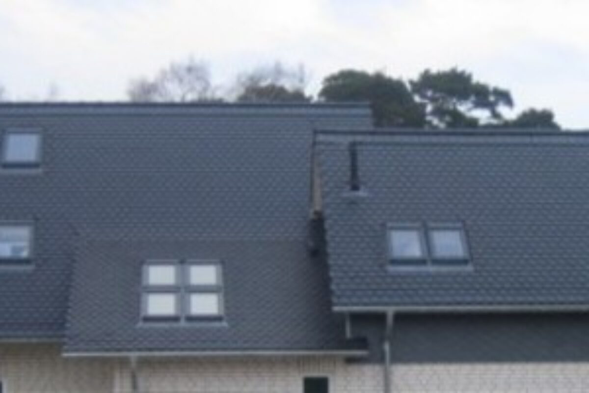 dacher6
