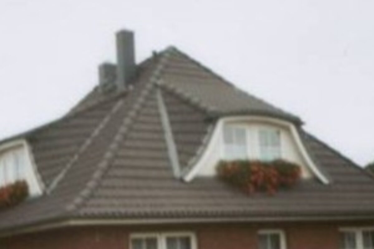 dacher8